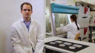 Natural antibiotics from mushrooms based on metabolic profiling