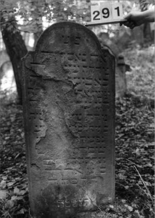 Grabstein 291 (Index: 99803439) Material: Sandstein Zustand: partiell völl. verwitt/Textverlust Maße HxBxT: 111x50x9 cm Beschreibung: Stele mit eingezogenem Rundbogen: Grabstein 291