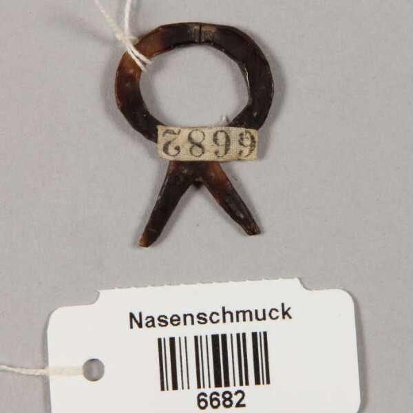 Nasenschmuck