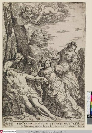 In Sebastiani vulnera Irenea Pieraris monumentum