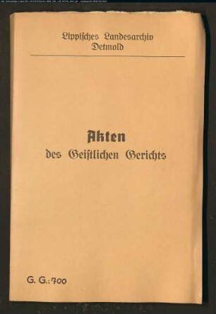 Witwe Camerarii [des Kämmerers] Grupe namens ihrer Enkelin Anna Margarete Schild gegen ihren Schwiegersohn den Ratsherrn Nevelin Schild in Detmold, wegen eines verweigerten Ehekonsens; Anna Margarete Schild, Tochter des Ratsherrn Nevelin Schild, war durch den Steinhauergesellen Geyer geschwängert worden