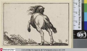 [Steigendes Pferd, von hinten gesehen; Rearing Horse Viewed from the Rear]