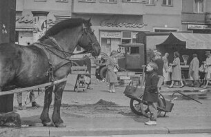 Kind mit Karrenpferd, 1964. SW-Foto © Kurt Schwarz.