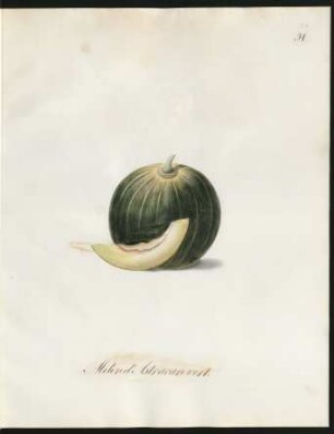 Melon d'Astracan vert