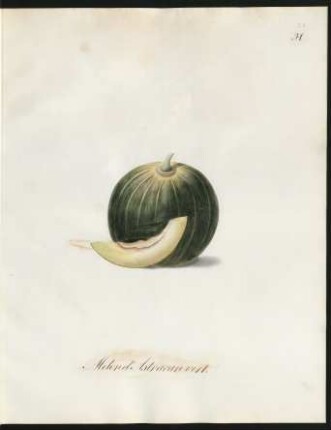 Melon d'Astracan vert