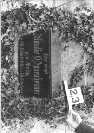 Grabstein 23 (Index: 99805089) Material: Sandstein mit zwei schwarzen Marmorplatten Zustand: efeuumrankt Maße HxBxT: 200x70x35 cm Beschreibung: Stele auf gestuftem Sockel mit Dreiecksgiebel, Inschriftentafel der Stele hochrechteckig, im Sockel querrechteckig: Grabstein 23 (Detailaufnahme)