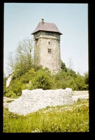 Die Burg Sponeck