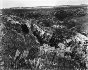 Badlands : Aussicht auf ein kleines bewaldetes Seitental der Badlands in North Dakota.