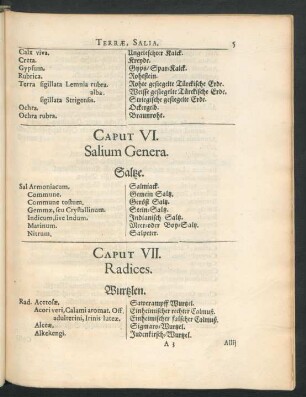 Caput VI. Salium Genera. Salze.