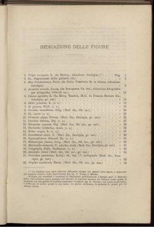 Indicaczione delle Figure