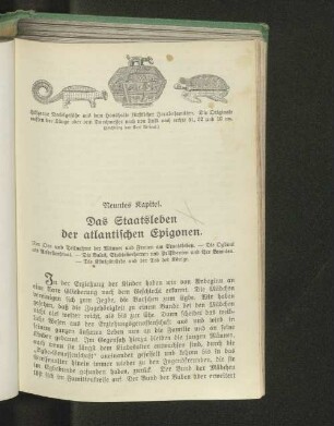 Neuntes Kapitel. Das Staatsleben der atlantischen Epigonen.