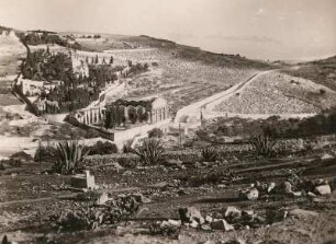 Jerusalem. Blick auf den Ölberg mit dem Garten Gethsemane und der Kirche der Nationen