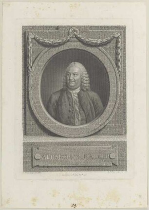 Bildnis des Albrecht v. Haller