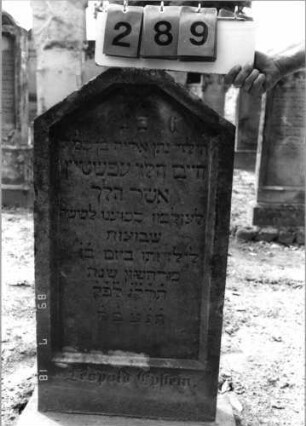 Grabstein 289 (Index: 99797824) Material: Sandstein, weiß Zustand: leicht verwittert Maße HxBxT: 90x45x9 cm Beschreibung: Stele, giebelartiger oben abgeflachter Abschluß, Sockel: Grabstein 289