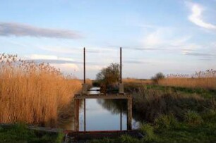 Frankreich. Poitou Charentes. Maritime. Mortagne sur Gironde. Sumpflandschaft