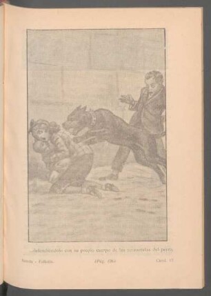... defendiéndolo con su propio cuerpo de las acometidas del perro. - [Ilustración]
