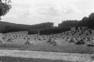 Alb-Kultur : Getreidehaufen und Kunstwiesen bei St. Johann auf der Schwabischen Alb