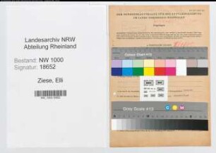 Entnazifizierung Elli Ziese, geb. 11.10.1913 (Verkaeuferin)