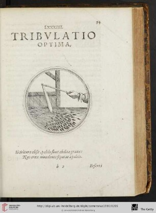 LXXXIIII. Tribvlatio optima