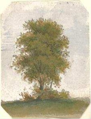 Neureuther, Lorenz; Landschaftskizzen - Baum (Ansicht)