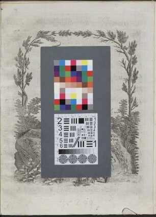 Trois Quatuors concertants pour deux Violons, Viola et Violoncelle. composés par M.r A. GYROVETZ. Oeuvre premier. Livre ([hs.:] 1 (2)), 2. Quartetto IV-VI