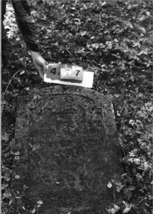 Grabstein 477 (Index: 99791159) Zustand: vollständig verwittert Maße HxBxT: 91x63xo.A. cm: Grabstein 477