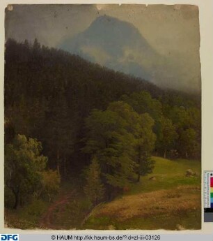 Waldlandschaft bei Berchtesgaden