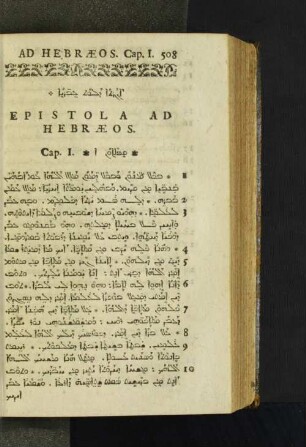 Epistola Ad Hebraeos.