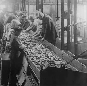 Am Kreiselband : Technikgeschichte | Technik und Wirtschaft | Steinkohle