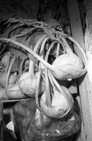 Kohlrabi in der Reihe "Tips der Verbraucherberatung"