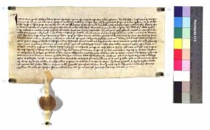 Die Richter des Speyerer Hofgerichts vidimieren eine Urkunde Papst Alexanders IV. von 1255 August 27 über die Exemtion der Geistlichen und Konventualen des Zisterzienserordens von fremden Gerichten.