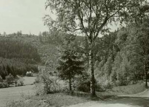 Tal der Schwarzen Pockau bei Pobershau-Hintergrund am Tiefen Blühend Glück Stolln, Blick talabwärts