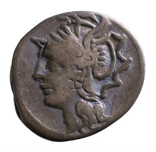 Münze, Denar, 104 v. Chr.