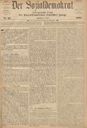 No 23. Sonntag, 6. Juni. 1880.