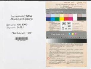 Entnazifizierung Fritz Steinhausen, geb. 16.05.1888 (Angest.)