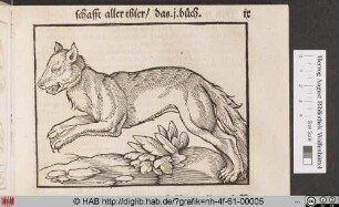 [Wolf]