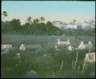Genin [dschenin, djenin, jenin] u. Friedhof