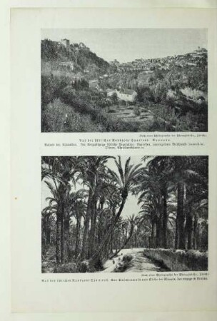 Aus der südlichen Randzone Spaniens. Granada