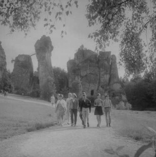 Horn-Bad Meinberg/Ostwestfalen. Externsteine. Ansicht von Nordosten