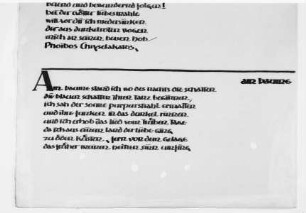 Schriftprobe anhand der Maximin-Gedichte von Stefan George