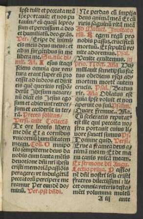 Ex sermone beati Augu.
