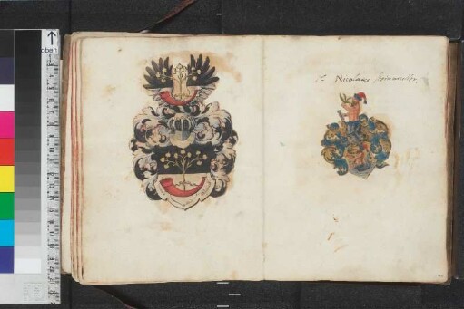 Illustration (Wappen), Blatt 43v