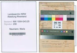 Entnazifizierung Maria Naumann , geb. 12.02.1897 ()