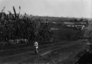 Bananenpflanzung und Siedlung : Eine Bananenplantage links und eine Siedlung im Hintergrund. Ein Mann läuft die Straße hinauf, ein weiterer überquert eine Brücke bei der Siedlung.