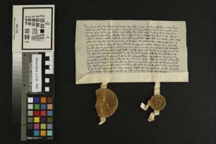 Gundheim: Renunziation des Grafen Georg v. Valdenz auf die Burg Gundheim an Friedrich v. Meckenheim den Alten