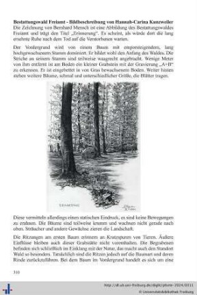 Bestattungswald Freiamt - Bildbeschreibung