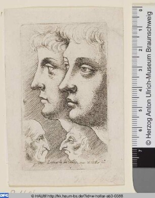 Vier Köpfe