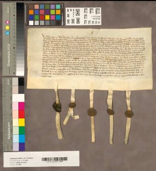 Der Obmann GrafWilhelm von Wied und die in vier Schiedsrichter [Johann vom Hirtz (Chorbischof an St. Severin und Offizial zu Köln), Peter von Gymnich (Ritter), Wilhelm von Muyssbach (Ritter) und Godart von Nyvenheim (= Siegel 5)] erklären sich bereit zum Schiedspruch.