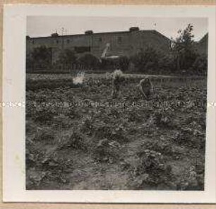 Hinsdorf, Landwirtschaftlicher Betrieb Schwertfeger