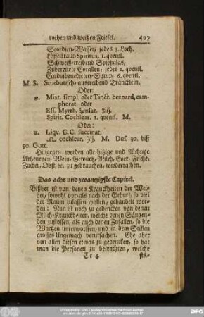 Das acht und zwantzigste Capitel.